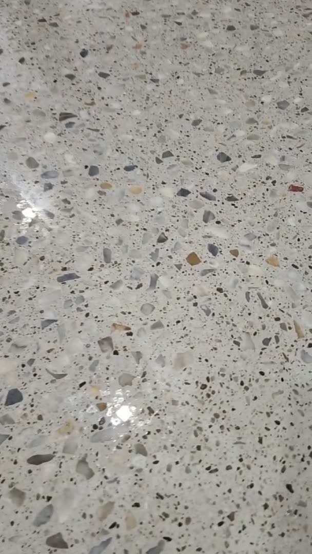 Close-up of a poured terrazzo floor, showing the natural stone and marble aggregate in a polished surface